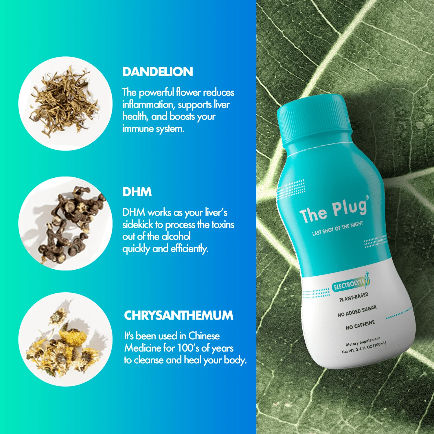 The Plug Drink 12 pack - Image 8